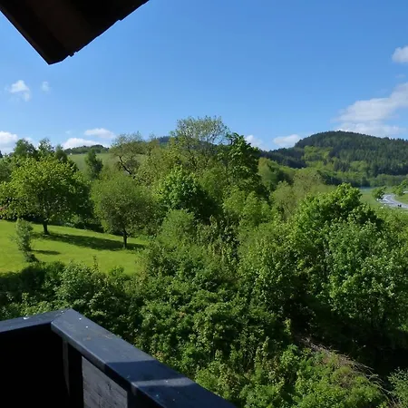 Cafe-pension Waldesruh 3*