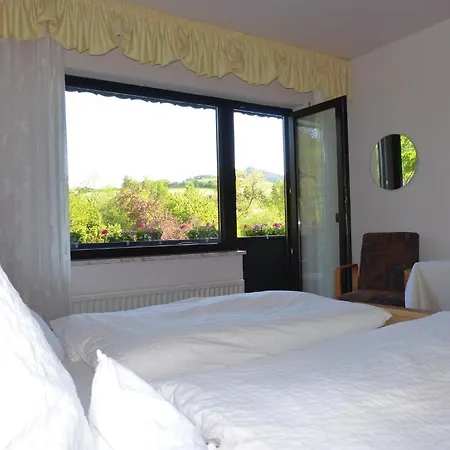 カフェ ペンション ヴァルデスル 3* ヴィリンゲン