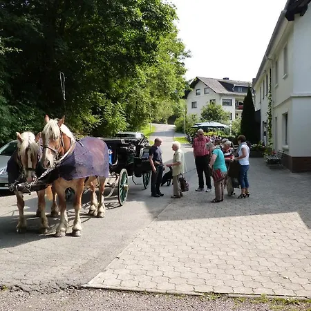 ゲストハウス カフェ ペンション ヴァルデスル 3*