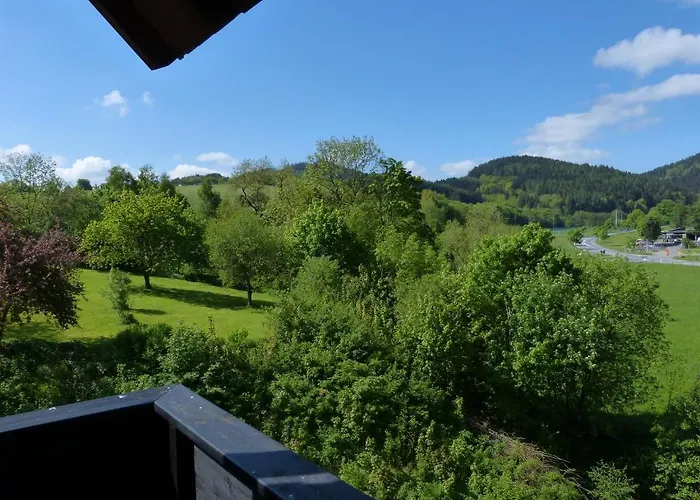 Cafe-pension Waldesruh 3*