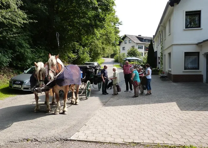 Maison d'hôtes Cafe-pension Waldesruh 3*